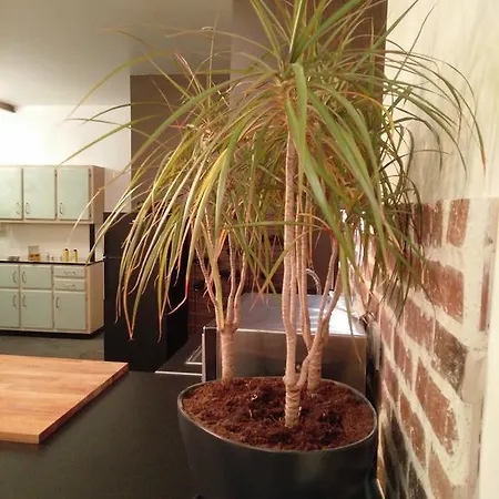 La Maison D'alexandre